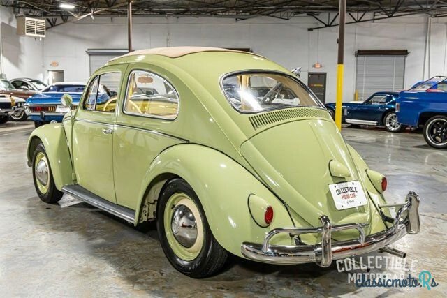 1959 Volkswagen Beetle in Georgia - 4